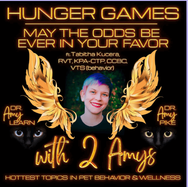 Picture of Tabitha Kucera in the style of the Hunger Games